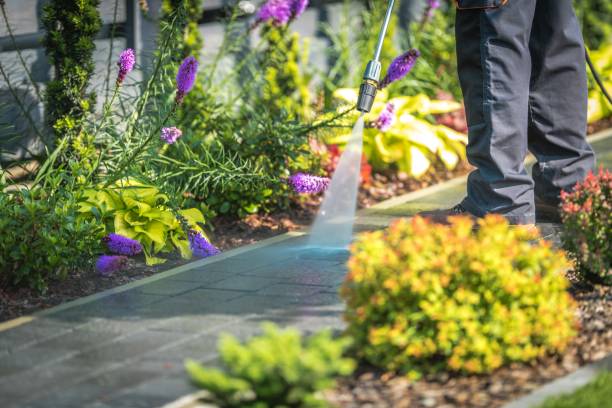 Best Winterizing Services  in San Rafael, NM